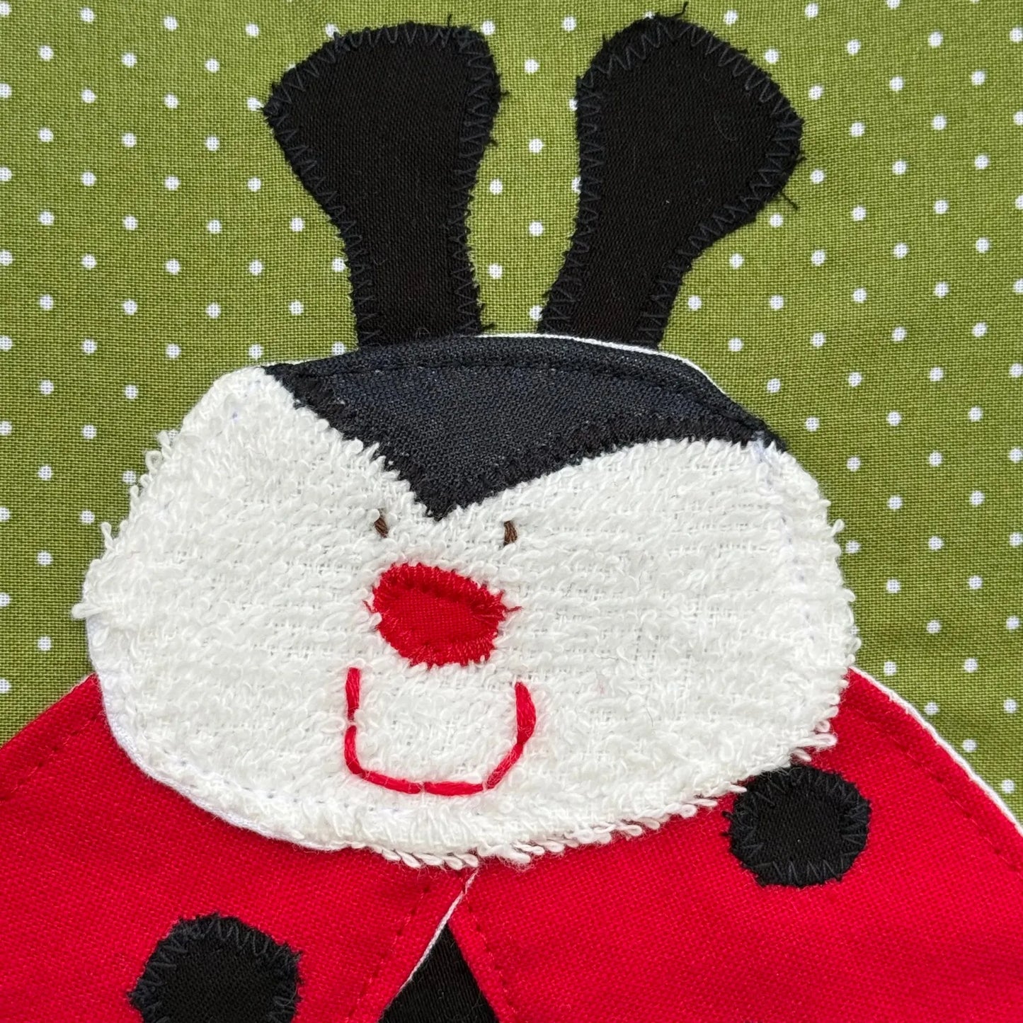 Personalisiertes Kuschelkissen „Marienkäfer“ – 40×40 cm, handmade & farbenfroh